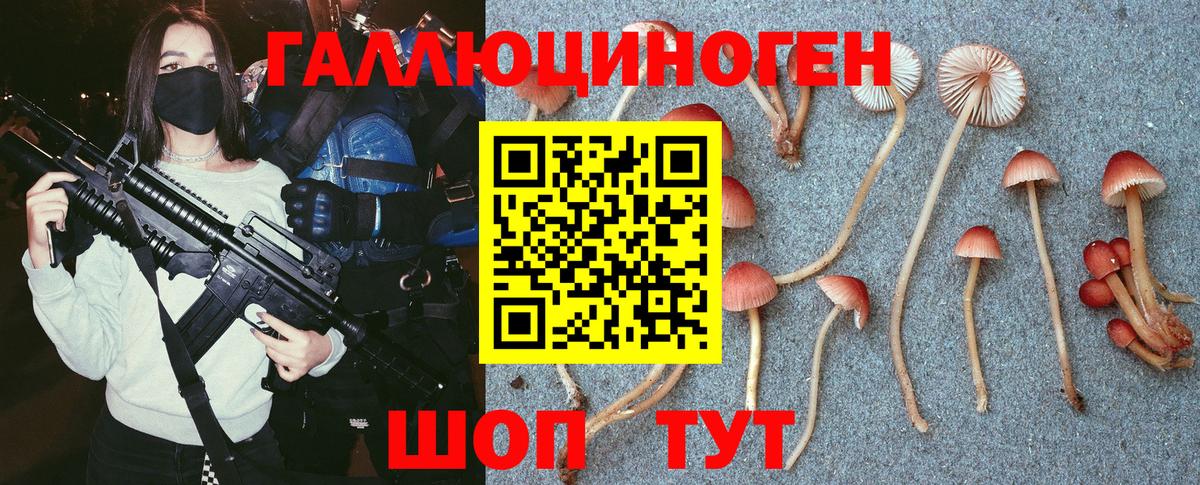 Псилоцибиновые грибы Magic Shrooms Вичуга