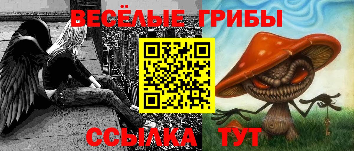 Вичуга  Галлюциногенные грибы MAGIC MUSHROOMS  Вход с VPN 